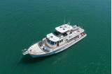 Fleming 55